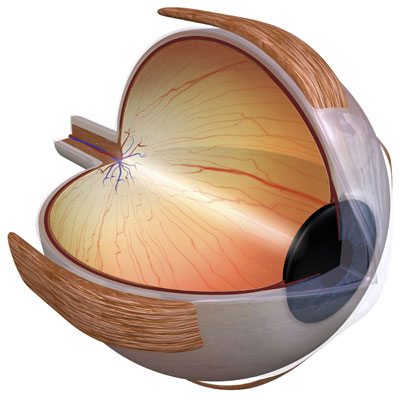 Requirements for LASIK Los Angeles